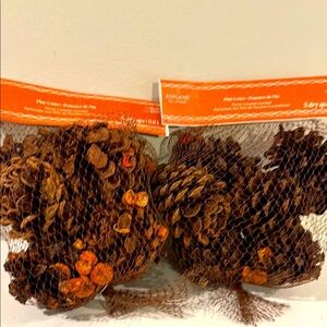 Pine Cone Fall Decor Pecan Caramel Scented
